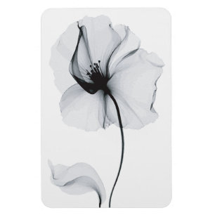 Íman Flor Deslumbrante: Reflexo Radiante da Natureza