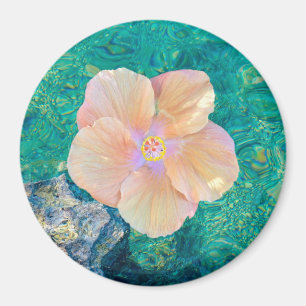 Íman Flor do hibiscus no ímã da água de turquesa