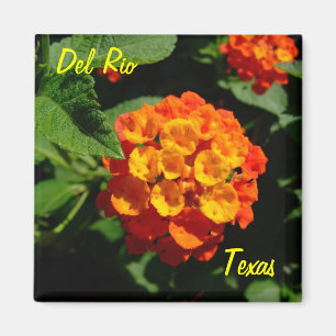 Íman Flor do Lantana do ímã de Del Rio Texas