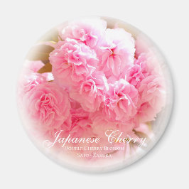 Íman Flor Duplo de Cereja: Sato-zakura