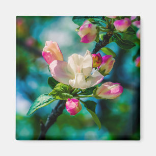 Íman Flor e botões de maçarico