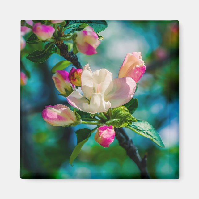 Íman Flor e botões de maçarico (Frente)