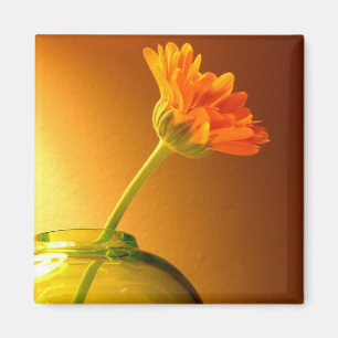 Íman Flor em Vase