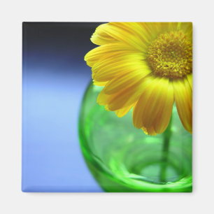 Íman Flor em Vase