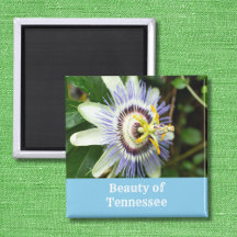 Flor Estadual do Tennessee Passionflower