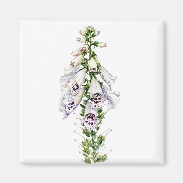 Íman Flor Foxglove (Frente)