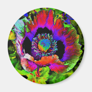 Íman Flor Funky