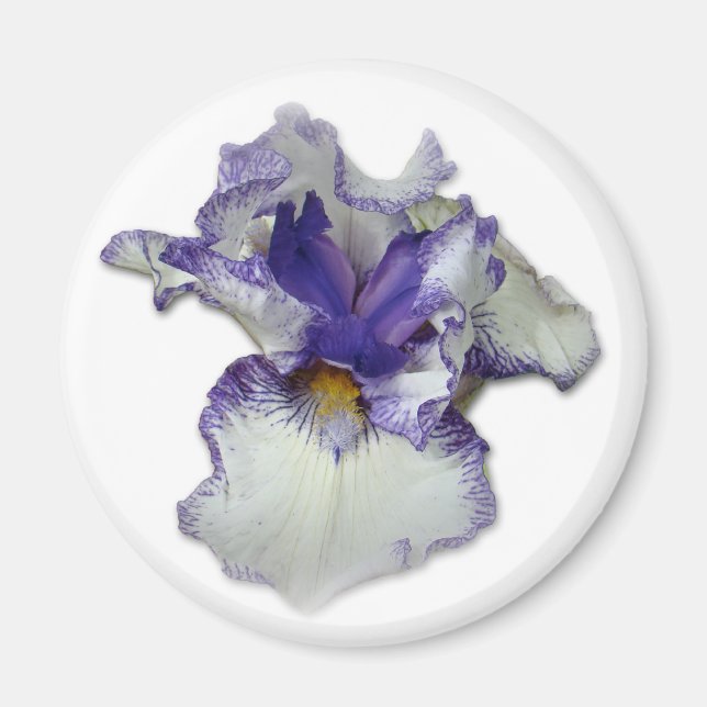 Íman Flor Íris Branca e Azul (Frente)