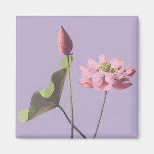 Íman Flor Lotus de Ogawa Kazumasa
