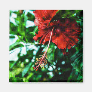 Íman Flor Red Hibiscus