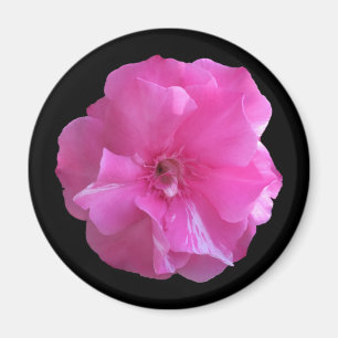 Íman Flor Rosa