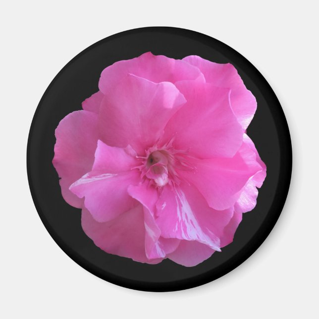 Íman Flor Rosa (Frente)