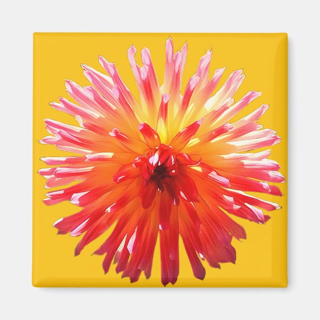 Íman Flor rosa e amarela (Frente)