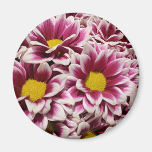 Íman Flor Roxo