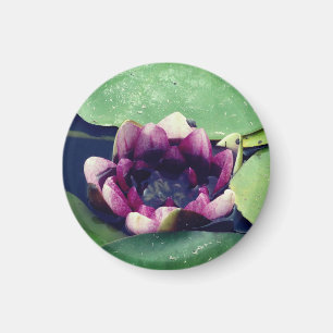 Íman Flor Roxo Foto MagnetPurple Lotus