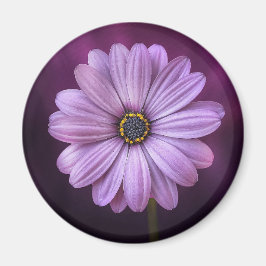 Íman Flor Roxo no Bloom