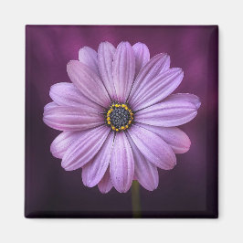 Íman Flor Roxo no Bloom