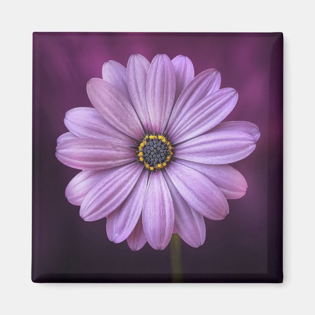 Íman Flor Roxo no Bloom (Frente)