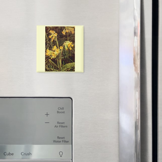 Íman Flor selvagem: Cowslip (In Situ (Fridge))