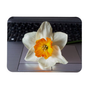 Íman Flor sobre teclado