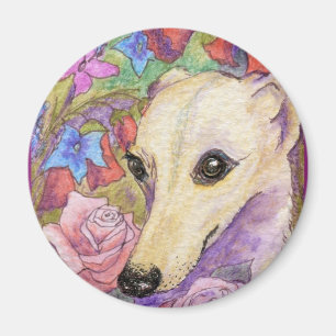 Íman Flor tímida Whippet