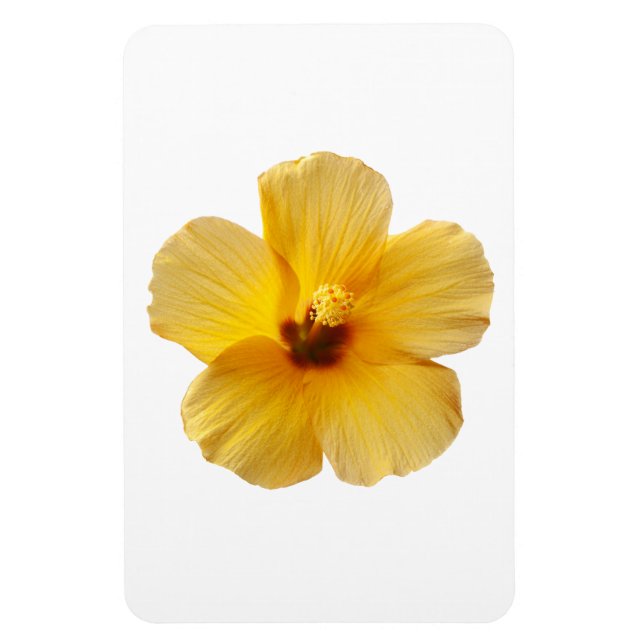 Íman Flor Tropical de Hibiscus Amarelo Floral (Vertical)