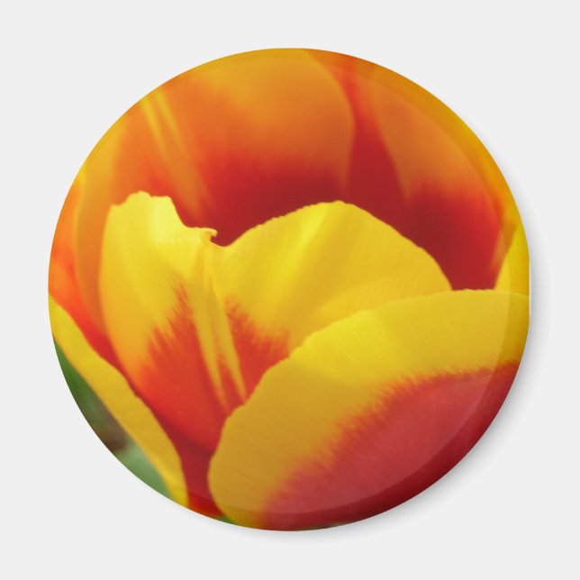 Íman Flor Um (Frente)
