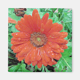 Íman Flor Vermelho bonito com Gotas de Chuva