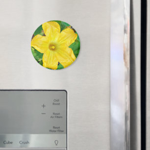 Íman Flor Zucchini