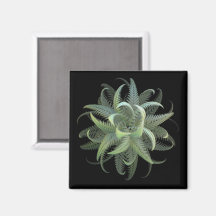 Floração de Samambaia Fractal