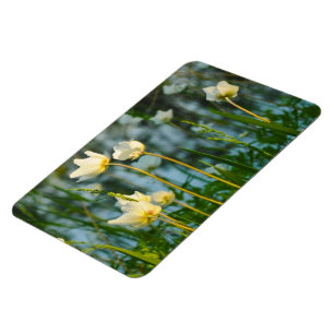 ÍMAN  FLORAL ADORÁVEL