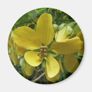 Íman Floral Amarelo Tropical de Chá ouro