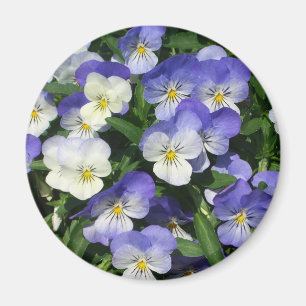 Íman Floral de Jardim de Panteras
