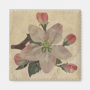 Íman Floral:Imagem Vintage