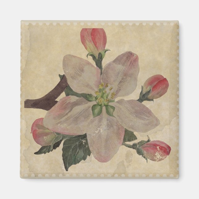 Íman Floral:Imagem Vintage (Frente)