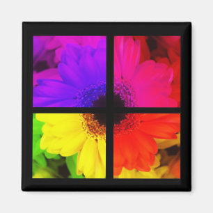 Íman Floral Potpourri