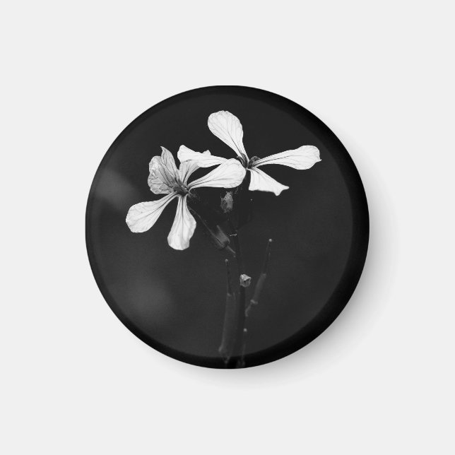 Íman floral preto e branco minimalista (Frente)