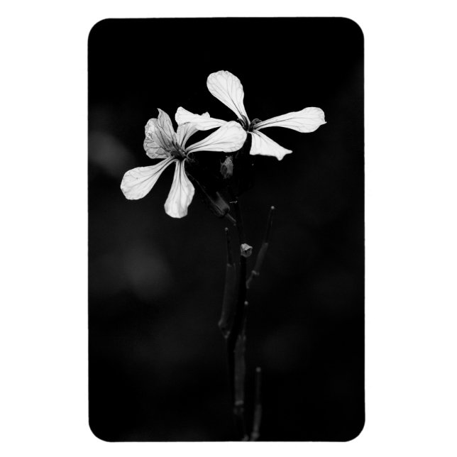 Íman floral preto e branco mínimo (Vertical)