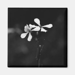 Íman floral preto e branco mínimo