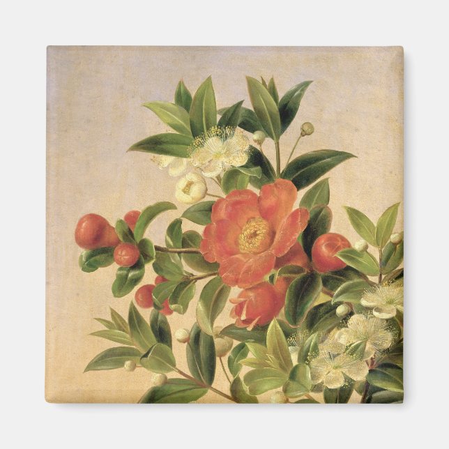 Íman Flores, 1835 (Frente)