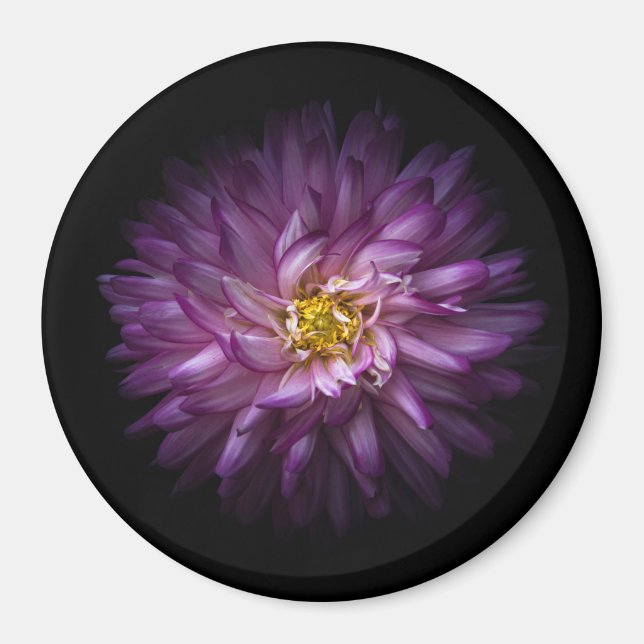 Íman Flores 20 (Frente)