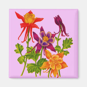 Íman flores aquilégias