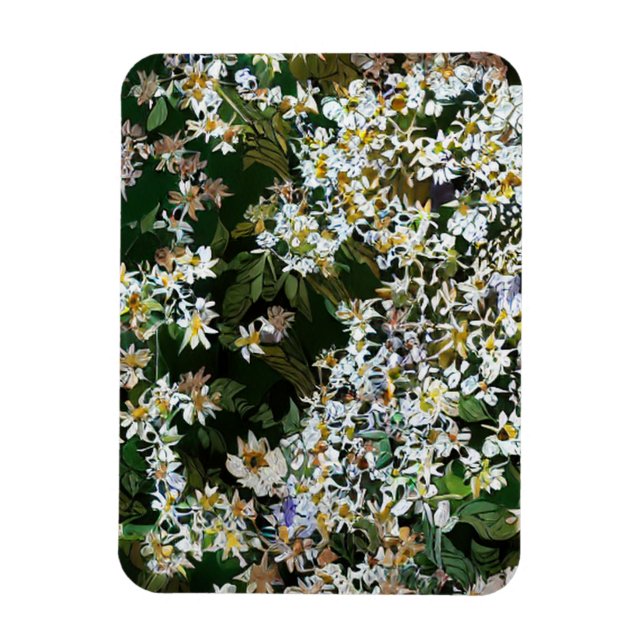 ÍMAN  FLÔRES ASTER (Vertical)