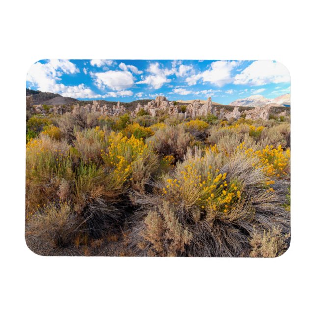 Íman Flores | Blooming Sagebrush California (Horizontal)