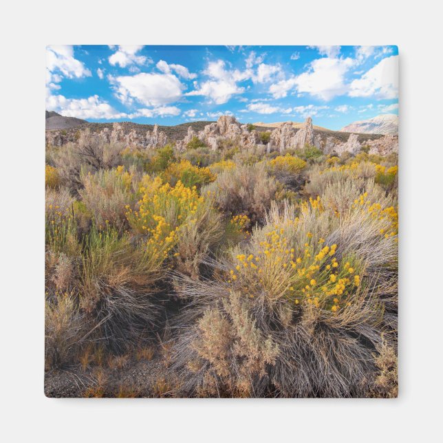Íman Flores | Blooming Sagebrush California (Frente)