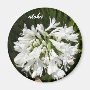Íman flores brancas aloha