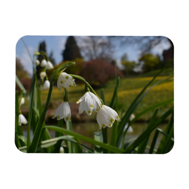 Íman Flores brancas com jardins paisagísticos em segund (Horizontal)