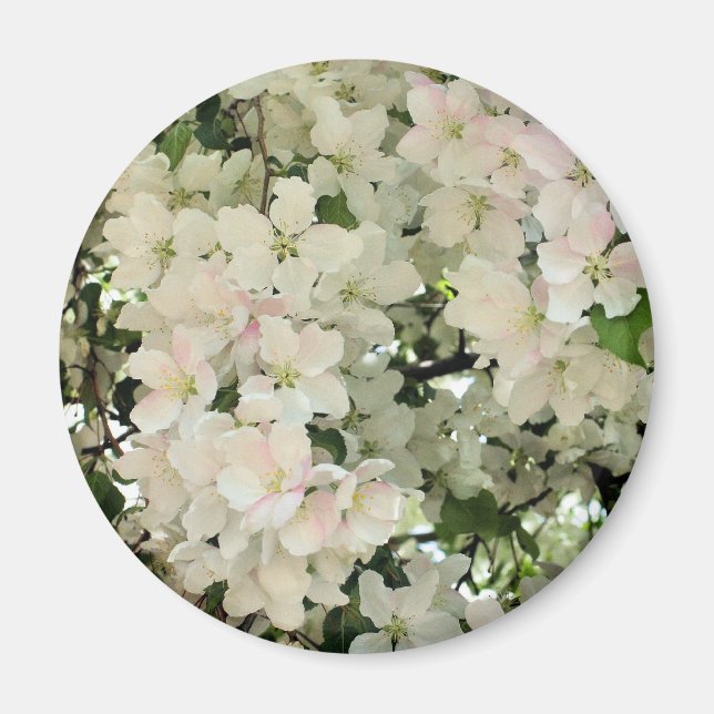 Íman Flores Brancas de Primavera Fotografia de Flores (Frente)