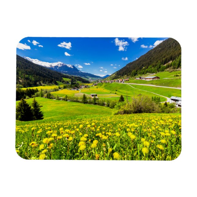 Íman Flores | Cantão de Dandelion de Grisons, Suiça (Horizontal)