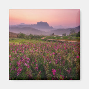 Íman Flores Chiang Dao, Chiang Mai, Tailândia